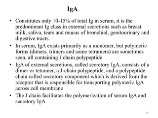 IgA
• Constitutes only 10-15% of total Ig in serum, it is the
predominant Ig class in external secretions such as breast
milk, saliva, tears and mucus of bronchial, genitourinary and
digestive tracts.
• In serum, IgA exists primarily as a monomer, but polymeric
forms (dimers, trimers and some tetramers) are sometimes
seen, all containing J chain polypeptide
• IgA of external secretions, called secretory IgA, consists of a
dimer or tetramer, a J-chain polypeptide, and a polypeptide
chain called secretory component which is derived from the
receptor that is responsible for transporting polymeric IgA
across cell membrane
• The J chain facilitates the polymerization of serum IgA and
secretory IgA
26
 