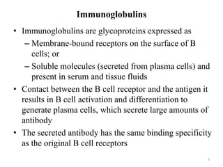 Immunoglobulins
• Immunoglobulins are glycoproteins expressed as
– Membrane-bound receptors on the surface of B
cells; or
– Soluble molecules (secreted from plasma cells) and
present in serum and tissue fluids
• Contact between the B cell receptor and the antigen it
results in B cell activation and differentiation to
generate plasma cells, which secrete large amounts of
antibody
• The secreted antibody has the same binding specificity
as the original B cell receptors
3
 