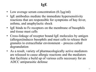 IgE
• Low average serum concentration (0.3μg/ml)
• IgE antibodies mediate the immediate hypersensitivity
reactions that are responsible for symptoms of hay fever,
asthma, and anaphylactic shock
• IgE binds to Fc receptors on the membrane of basophils
and tissue mast cells
• Cross-linkage of receptor bound IgE molecules by antigen
(allergen)induces basophils and mast cells to release their
granules to extracellular environment – process called
degranulation
• As a result, variety of pharmacologically active mediators
are released to cause allergic reactions and the mediators
that facilitate a build up of various cells necessary for an
ADCC antiparasitic defense
32
 