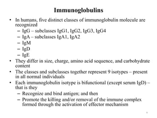 Immunoglobulins
• In humans, five distinct classes of immunoglobulin molecule are
recognized
– IgG – subclasses IgG1, IgG2, IgG3, IgG4
– IgA – subclasses IgA1, IgA2
– IgM
– IgD
– IgE
• They differ in size, charge, amino acid sequence, and carbohydrate
content
• The classes and subclasses together represent 9 isotypes – present
in all normal individuals
• Each immunoglobulin isotype is bifunctional (except serum IgD) –
that is they
– Recognize and bind antigen; and then
– Promote the killing and/or removal of the immune complex
formed through the activation of effector mechanism
4
 