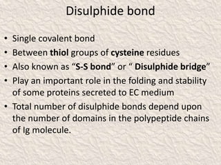 Disulphide bond
• Single covalent bond
• Between thiol groups of cysteine residues
• Also known as “S-S bond” or “ Disulphide bridge”
• Play an important role in the folding and stability
of some proteins secreted to EC medium
• Total number of disulphide bonds depend upon
the number of domains in the polypeptide chains
of Ig molecule.
 