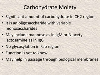 Carbohydrate Moiety
• Significant amount of carbohydrate in CH2 region
• It is an oligosaccharide with variable
monosaccharides
• May include mannose as in IgM or N-acetyl
lactosamine as in IgG
• No glycosylation in Fab region
• Function is yet to know
• May help in passage through biological membranes
 