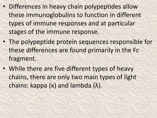 • Differences in heavy chain polypeptides allow
these immunoglobulins to function in different
types of immune responses and at particular
stages of the immune response.
• The polypeptide protein sequences responsible for
these differences are found primarily in the Fc
fragment.
• While there are five different types of heavy
chains, there are only two main types of light
chains: kappa (κ) and lambda (λ).
 
