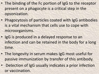 • The binding of the Fc portion of IgG to the receptor
present on a phagocyte is a critical step in the
opsonization.
• Phagocytosis of particles coated with IgG antibodies
is a vital mechanism that cells use to cope with
microorganisms.
• IgG is produced in a delayed response to an
infection and can be retained in the body for a long
time.
• The longevity in serum makes IgG most useful for
passive immunization by transfer of this antibody.
• Detection of IgG usually indicates a prior infection
or vaccination.
 