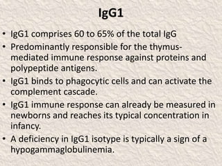 IgG1
• IgG1 comprises 60 to 65% of the total IgG
• Predominantly responsible for the thymus-
mediated immune response against proteins and
polypeptide antigens.
• IgG1 binds to phagocytic cells and can activate the
complement cascade.
• IgG1 immune response can already be measured in
newborns and reaches its typical concentration in
infancy.
• A deficiency in IgG1 isotype is typically a sign of a
hypogammaglobulinemia.
 