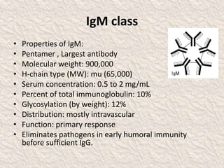 IgM class
• Properties of IgM:
• Pentamer , Largest antibody
• Molecular weight: 900,000
• H-chain type (MW): mu (65,000)
• Serum concentration: 0.5 to 2 mg/mL
• Percent of total immunoglobulin: 10%
• Glycosylation (by weight): 12%
• Distribution: mostly intravascular
• Function: primary response
• Eliminates pathogens in early humoral immunity
before sufficient IgG.
 