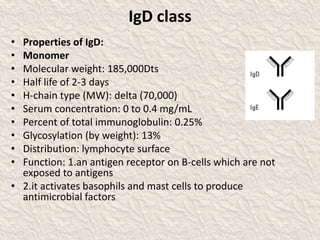 IgD class
• Properties of IgD:
• Monomer
• Molecular weight: 185,000Dts
• Half life of 2-3 days
• H-chain type (MW): delta (70,000)
• Serum concentration: 0 to 0.4 mg/mL
• Percent of total immunoglobulin: 0.25%
• Glycosylation (by weight): 13%
• Distribution: lymphocyte surface
• Function: 1.an antigen receptor on B-cells which are not
exposed to antigens
• 2.it activates basophils and mast cells to produce
antimicrobial factors
 