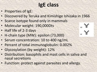 IgE class
• Properties of IgE:
• Discovered by Teruka and Kimishige Ishizaka in 1966
• Scarce isotype found only in mammals
• Molecular weight: 190,000Dts
• Half life of 2-3 days
• H-chain type (MW): epsilon (73,000)
• Serum concentration: 10 to 400 ng/mL
• Percent of total immunoglobulin: 0.002%
• Glycosylation (by weight): 12%
• Distribution: basophils and mast cells in saliva and
nasal secretions
• Function: protect against parasites and allergy.
 