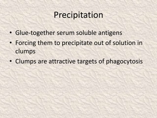 Precipitation
• Glue-together serum soluble antigens
• Forcing them to precipitate out of solution in
clumps
• Clumps are attractive targets of phagocytosis
 