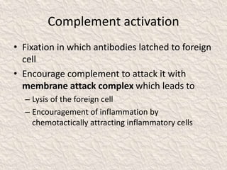 Complement activation
• Fixation in which antibodies latched to foreign
cell
• Encourage complement to attack it with
membrane attack complex which leads to
– Lysis of the foreign cell
– Encouragement of inflammation by
chemotactically attracting inflammatory cells
 