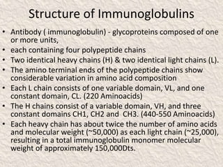 Structure of Immunoglobulins
• Antibody ( immunoglobulin) - glycoproteins composed of one
or more units,
• each containing four polypeptide chains
• Two identical heavy chains (H) & two identical light chains (L).
• The amino terminal ends of the polypeptide chains show
considerable variation in amino acid composition
• Each L chain consists of one variable domain, VL, and one
constant domain, CL. (220 Aminoacids)
• The H chains consist of a variable domain, VH, and three
constant domains CH1, CH2 and CH3. (440-550 Aminoacids)
• Each heavy chain has about twice the number of amino acids
and molecular weight (~50,000) as each light chain (~25,000),
resulting in a total immunoglobulin monomer molecular
weight of approximately 150,000Dts.
 