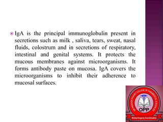  IgA is the principal immunoglobulin present in
secretions such as milk , saliva, tears, sweat, nasal
fluids, colostrum and in secretions of respiratory,
intestinal and genital systems. It protects the
mucous membranes against microorganisms. It
forms antibody paste on mucosa. IgA covers the
microorganisms to inhibit their adherence to
mucosal surfaces.
 