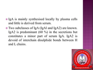  IgA is mainly synthesised locally by plasma cells
and little is derived from serum.
 Two subclasses of IgA (IgAl and IgA2) are known.
IgA2 is predominant (60 %) in the secretions but
constitutes a minor part of serum IgA. IgA2 is
devoid of interchain disulphide bonds between H
and L chains.
 