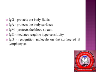  IgG - protects the body fluids
 IgA - protects the body surfaces
 IgM - protects the blood stream
 IgE - mediates reaginic hypersensitivity
 IgD - recognition molecule on the surface of B
lymphocytes
 