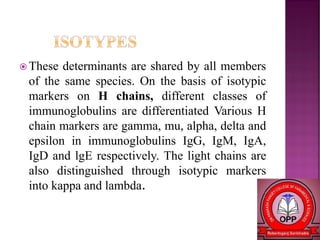 These determinants are shared by all members
of the same species. On the basis of isotypic
markers on H chains, different classes of
immunoglobulins are differentiated Various H
chain markers are gamma, mu, alpha, delta and
epsilon in immunoglobulins IgG, IgM, IgA,
IgD and lgE respectively. The light chains are
also distinguished through isotypic markers
into kappa and lambda.
 