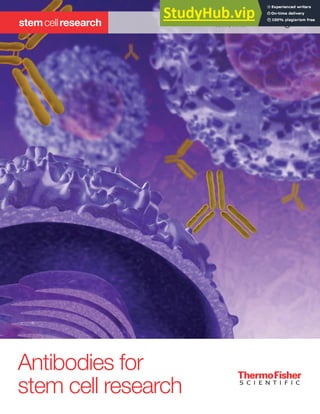 Antibodies for
stem cell research
stemcellresearch
 