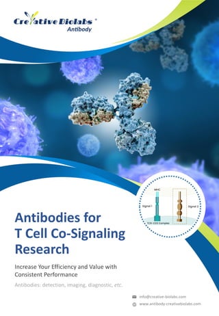 Antibodies for
T Cell Co-Signaling
Research
Antibodies: detection, imaging, diagnostic, etc.
Increase Your Efficiency and Value with
Consistent Performance
info@creative-biolabs.com
www.antibody-creativebiolabs.com
 