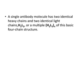 • A single antibody molecule has two identical
heavy chains and two identical light
chains,H2L2, or a multiple (H2L2)n of this basic
four-chain structure.
 