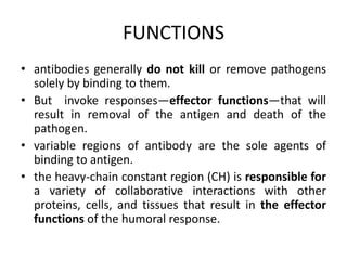 FUNCTIONS
• antibodies generally do not kill or remove pathogens
solely by binding to them.
• But invoke responses—effector functions—that will
result in removal of the antigen and death of the
pathogen.
• variable regions of antibody are the sole agents of
binding to antigen.
• the heavy-chain constant region (CH) is responsible for
a variety of collaborative interactions with other
proteins, cells, and tissues that result in the effector
functions of the humoral response.
 