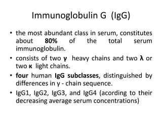 Immunoglobulin G (IgG)
• the most abundant class in serum, constitutes
about 80% of the total serum
immunoglobulin.
• consists of two γ heavy chains and two λ or
two κ light chains.
• four human IgG subclasses, distinguished by
differences in γ - chain sequence.
• IgG1, IgG2, IgG3, and IgG4 (acording to their
decreasing average serum concentrations)
 