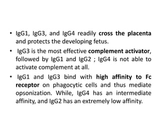 • IgG1, IgG3, and IgG4 readily cross the placenta
and protects the developing fetus.
• IgG3 is the most effective complement activator,
followed by IgG1 and IgG2 ; IgG4 is not able to
activate complement at all.
• IgG1 and IgG3 bind with high affinity to Fc
receptor on phagocytic cells and thus mediate
opsonization. While, IgG4 has an intermediate
affinity, and IgG2 has an extremely low affinity.
 