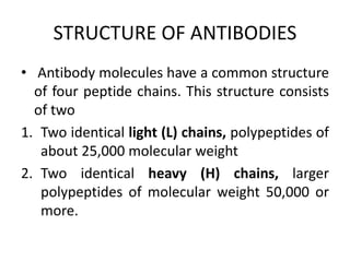 STRUCTURE OF ANTIBODIES
• Antibody molecules have a common structure
of four peptide chains. This structure consists
of two
1. Two identical light (L) chains, polypeptides of
about 25,000 molecular weight
2. Two identical heavy (H) chains, larger
polypeptides of molecular weight 50,000 or
more.
 