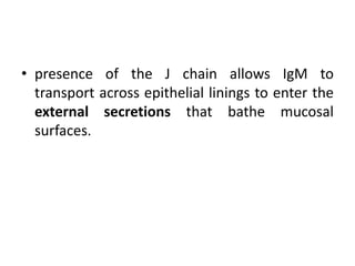 • presence of the J chain allows IgM to
transport across epithelial linings to enter the
external secretions that bathe mucosal
surfaces.
 