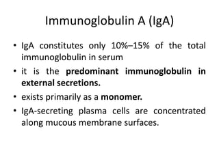 Immunoglobulin A (IgA)
• IgA constitutes only 10%–15% of the total
immunoglobulin in serum
• it is the predominant immunoglobulin in
external secretions.
• exists primarily as a monomer.
• IgA-secreting plasma cells are concentrated
along mucous membrane surfaces.
 