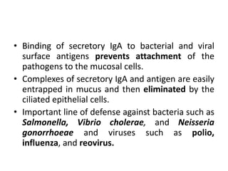 • Binding of secretory IgA to bacterial and viral
surface antigens prevents attachment of the
pathogens to the mucosal cells.
• Complexes of secretory IgA and antigen are easily
entrapped in mucus and then eliminated by the
ciliated epithelial cells.
• Important line of defense against bacteria such as
Salmonella, Vibrio cholerae, and Neisseria
gonorrhoeae and viruses such as polio,
influenza, and reovirus.
 