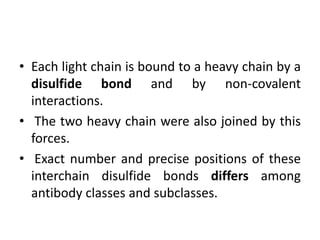 • Each light chain is bound to a heavy chain by a
disulfide bond and by non-covalent
interactions.
• The two heavy chain were also joined by this
forces.
• Exact number and precise positions of these
interchain disulfide bonds differs among
antibody classes and subclasses.
 