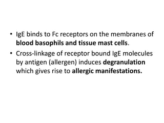 • IgE binds to Fc receptors on the membranes of
blood basophils and tissue mast cells.
• Cross-linkage of receptor bound IgE molecules
by antigen (allergen) induces degranulation
which gives rise to allergic manifestations.
 
