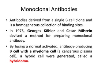 Monoclonal Antibodies
• Antibodies derived from a single B cell clone and
is a homogeneous collection of binding sites.
• In 1975, Georges Köhler and Cesar Milstein
devised a method for preparing monoclonal
antibody.
• By fusing a normal activated, antibody-producing
B cell with a myeloma cell (a cancerous plasma
cell), a hybrid cell were generated, called a
hybridoma.
 