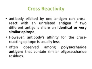 Cross Reactivity
• antibody elicited by one antigen can cross-
react with an unrelated antigen if two
different antigens share an identical or very
similar epitope.
• However, antibody’s affinity for the cross-
reacting epitope is usually less.
• often observed among polysaccharide
antigens that contain similar oligosaccharide
residues.
 