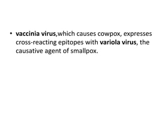 • vaccinia virus,which causes cowpox, expresses
cross-reacting epitopes with variola virus, the
causative agent of smallpox.
 