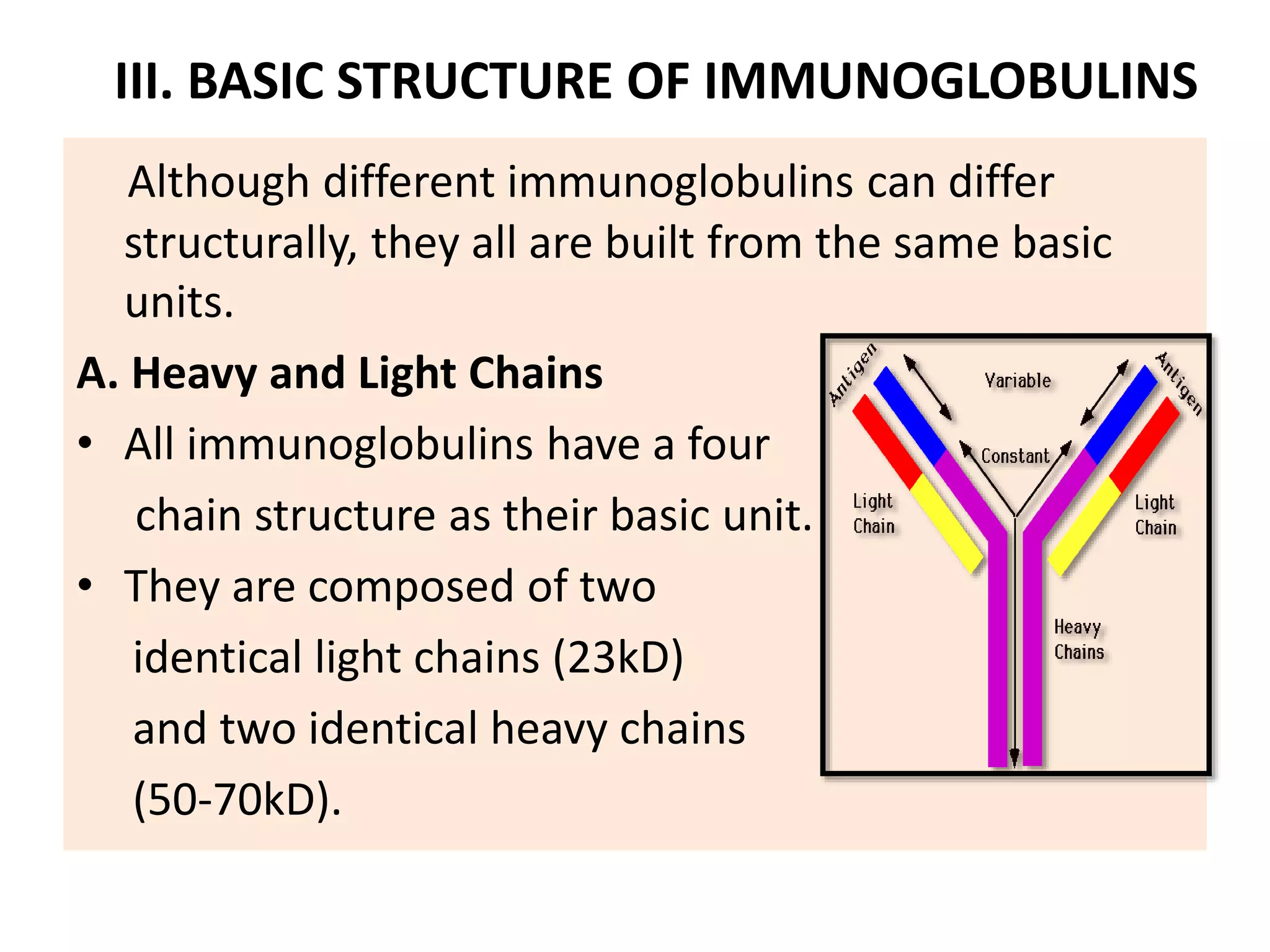 Antibodies MBBS | PPTX