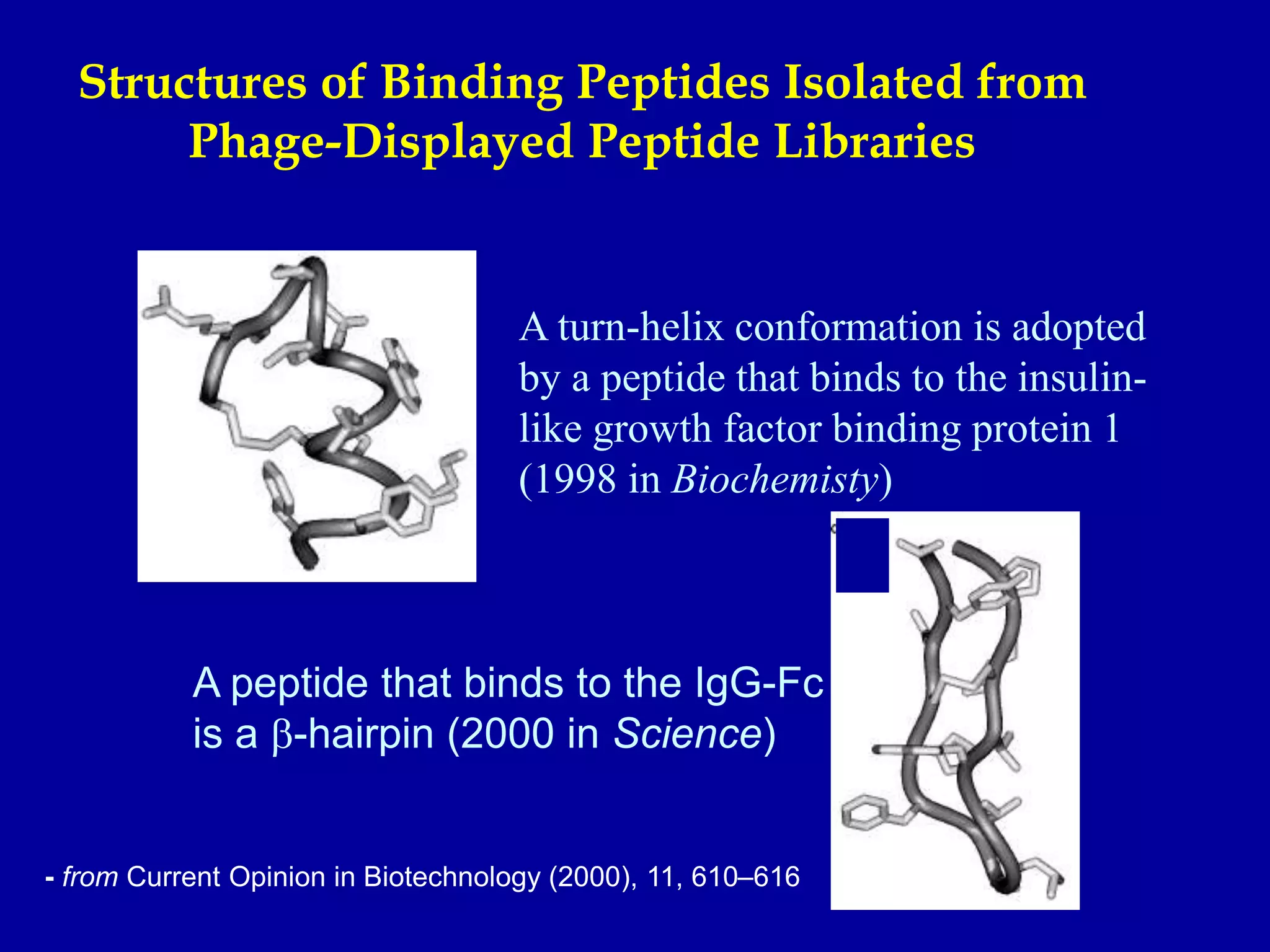 Structures of Binding Peptides Isolated from
Phage-Displayed Peptide Libraries
A turn-helix conformation is adopted
by a peptide that binds to the insulin-
like growth factor binding protein 1
(1998 in Biochemisty)
- from Current Opinion in Biotechnology (2000), 11, 610–616
A peptide that binds to the IgG-Fc
is a b-hairpin (2000 in Science)
 