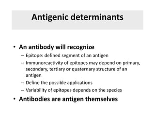 Antigenic determinants
• An antibody will recognize
– Epitope: defined segment of an antigen
– Immunoreactivity of epitopes may depend on primary,
secondary, tertiary or quaternary structure of an
antigen
– Define the possible applications
– Variability of epitopes depends on the species
• Antibodies are antigen themselves
 