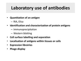 Laboratory use of antibodies
• Quantitation of an antigen
– RIA, Elisa
• Identification and characterization of protein antigens
– Immunoprecipitation
– Western blotting
• Cell surface labelling and separation
• Localisation of antigens within tissues or cells
• Expression librairies
• Phage display
 