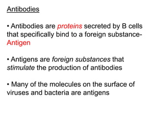Antibodies
• Antibodies are proteins secreted by B cells
that specifically bind to a foreign substance-
Antigen
• Antigens are foreign substances that
stimulate the production of antibodies
• Many of the molecules on the surface of
viruses and bacteria are antigens
 