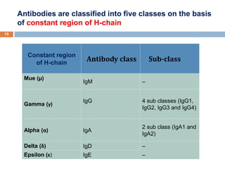 Antibodies are classified into five classes on the basis
of constant region of H-chain
15
Constant region
of H-chain
Antibody class Sub-class
Mue (µ)
IgM –
Gamma (γ)
IgG 4 sub classes (IgG1,
IgG2, IgG3 and IgG4)
Alpha (α) IgA
2 sub class (IgA1 and
IgA2)
Delta (δ) IgD –
Epsilon (ε) IgE –
 