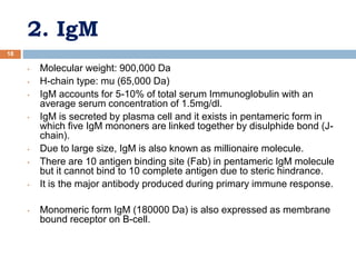 2. IgM
18
• Molecular weight: 900,000 Da
• H-chain type: mu (65,000 Da)
• IgM accounts for 5-10% of total serum Immunoglobulin with an
average serum concentration of 1.5mg/dl.
• IgM is secreted by plasma cell and it exists in pentameric form in
which five IgM mononers are linked together by disulphide bond (J-
chain).
• Due to large size, IgM is also known as millionaire molecule.
• There are 10 antigen binding site (Fab) in pentameric IgM molecule
but it cannot bind to 10 complete antigen due to steric hindrance.
• It is the major antibody produced during primary immune response.
• Monomeric form IgM (180000 Da) is also expressed as membrane
bound receptor on B-cell.
 