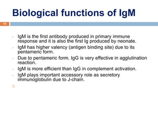 Biological functions of IgM
19
• IgM is the first antibody produced in primary immune
response and it is also the first Ig produced by neonate.
• IgM has higher valency (antigen binding site) due to its
pentameric form.
• Due to pentameric form, IgG is very effective in agglutination
reaction.
• IgM is more efficient than IgG in complement activation.
• IgM plays important accessory role as secretory
immunoglobulin due to J-chain.

 