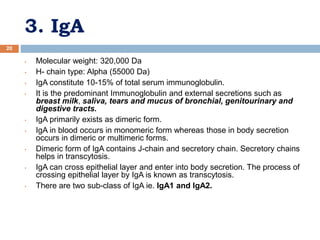 3. IgA
20
• Molecular weight: 320,000 Da
• H- chain type: Alpha (55000 Da)
• IgA constitute 10-15% of total serum immunoglobulin.
• It is the predominant Immunoglobulin and external secretions such as
breast milk, saliva, tears and mucus of bronchial, genitourinary and
digestive tracts.
• IgA primarily exists as dimeric form.
• IgA in blood occurs in monomeric form whereas those in body secretion
occurs in dimeric or multimeric forms.
• Dimeric form of IgA contains J-chain and secretory chain. Secretory chains
helps in transcytosis.
• IgA can cross epithelial layer and enter into body secretion. The process of
crossing epithelial layer by IgA is known as transcytosis.
• There are two sub-class of IgA ie. IgA1 and IgA2.
 