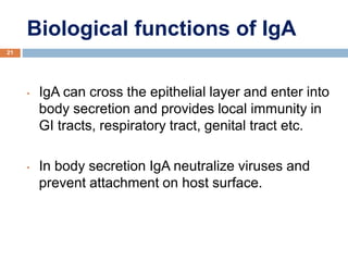 Biological functions of IgA
21
• IgA can cross the epithelial layer and enter into
body secretion and provides local immunity in
GI tracts, respiratory tract, genital tract etc.
• In body secretion IgA neutralize viruses and
prevent attachment on host surface.
 