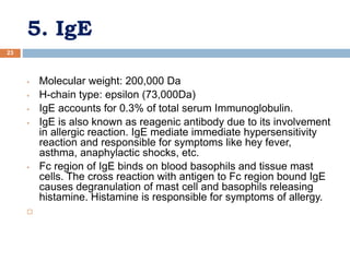 5. IgE
23
• Molecular weight: 200,000 Da
• H-chain type: epsilon (73,000Da)
• IgE accounts for 0.3% of total serum Immunoglobulin.
• IgE is also known as reagenic antibody due to its involvement
in allergic reaction. IgE mediate immediate hypersensitivity
reaction and responsible for symptoms like hey fever,
asthma, anaphylactic shocks, etc.
• Fc region of IgE binds on blood basophils and tissue mast
cells. The cross reaction with antigen to Fc region bound IgE
causes degranulation of mast cell and basophils releasing
histamine. Histamine is responsible for symptoms of allergy.

 