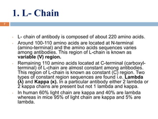 1. L- Chain
7
• L- chain of antibody is composed of about 220 amino acids.
• Around 100-110 amino acids are located at N-terminal
(amino-terminal) and the amino acids sequences varies
among antibodies. This region of L-chain is known as
variable (V) region.
• Remaining 110 amino acids located at C-terminal (carboxyl-
terminal) of L-chain are almost constant among antibodies.
This region of L-chain is known as constant (C) region. Two
types of constant region sequences are found i.e. Lambda
(λ) and Kappa (κ). In a particular antibody either 2 lambda or
2 kappa chains are present but not 1 lambda and kappa.
• In human 60% light chain are kappa and 40% are lambda
whereas in mice 95% of light chain are kappa and 5% are
lambda.
 