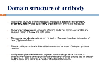 Domain structure of antibody
9
 The overall structure of immunoglobulin molecule is determined by primary,
secondary, tertiary and quaternary organization of amino acid molecules.
• The primary structure is sequence of amino acids that comprises variable and
constant region of heavy and light chain.
• The secondary structure is formed by folding of polypeptide chain into series of
beta (β) pleated sheets.
• The secondary structure is then folded into tertiary structure of compact globular
domains.
• Finally these globular domains of adjacent heavy and light chain interacts in
quaternary structure forming functional domains that enables binding site for antigen
and the same time performs a number of biological functions.
 