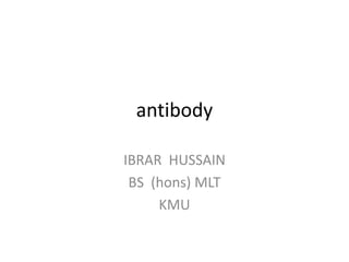 antibody
IBRAR HUSSAIN
BS (hons) MLT
KMU
 