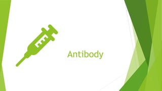 Antibody
 