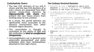 Carbohydrate Chains
• The two CH2 domains of α,γ and δ
chains and the two CH3 domains of μ
and ε chains are separated from their
partner heavy-chain domains by
oligosaccharide side chains that
prevent the two heavy chains from
nestling close to one another.
• As a result, the paired domains are
significantly more accessible to the
aqueous environment than other
constant region domains.
• This accessibility is thought to
contribute to the ability of IgM and
IgG antibodies to bind to complement
components.
• Immunoglobulins are in general quite
extensively glycosylated, and some
antibodies even have carbohydrates
attached to their light chains.
The Carboxy-Terminal Domains
• Secreted ab have a hydrophilic amino acid
sequence of various lengths at the carboxyl
terminus of the final CH domain.
• In membrane bound immunoglobulin receptors,
this hydrophilic region is replaced by three
regions
1. • An extracellular, hydrophilic
“spacer” sequence of approximately 26
amino acids
2. • A hydrophobic transmembrane segment of
about 25 amino acids
3. • A very short, approximately three
amino acid, cytoplasmic tail
• Immature, pre-B cells express only membrane
IgM.
• Membrane IgD co-expression along with IgM is
one of the markers of differentiation to a
fully mature B cell that has yet to
encounter antigen.
• Following antigen stimulation, IgD is lost
from the cell surface, and the constant
region of the membrane and secreted
immunoglobulin can switch to any one of the
other isotypes.
 